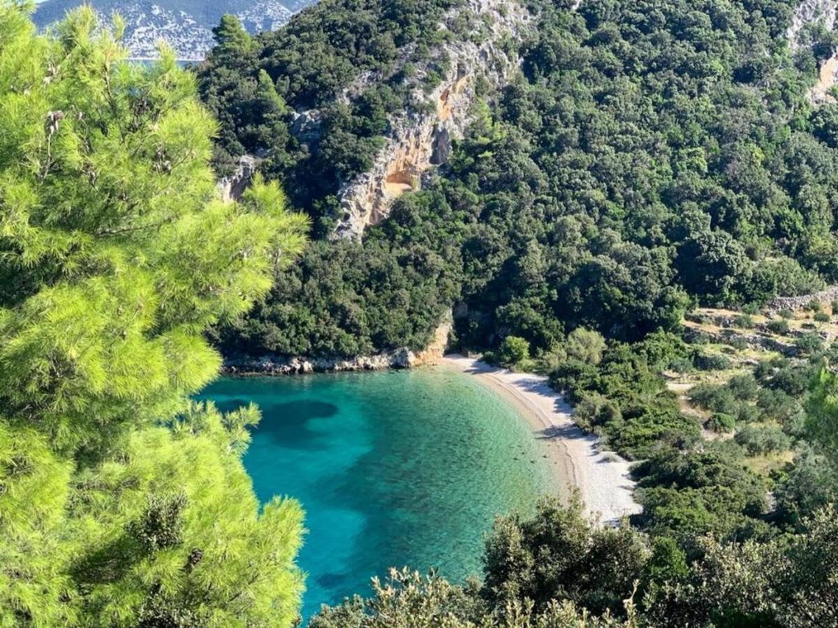 RačišćeVineyard House & Olive Grove House别墅 外观 照片