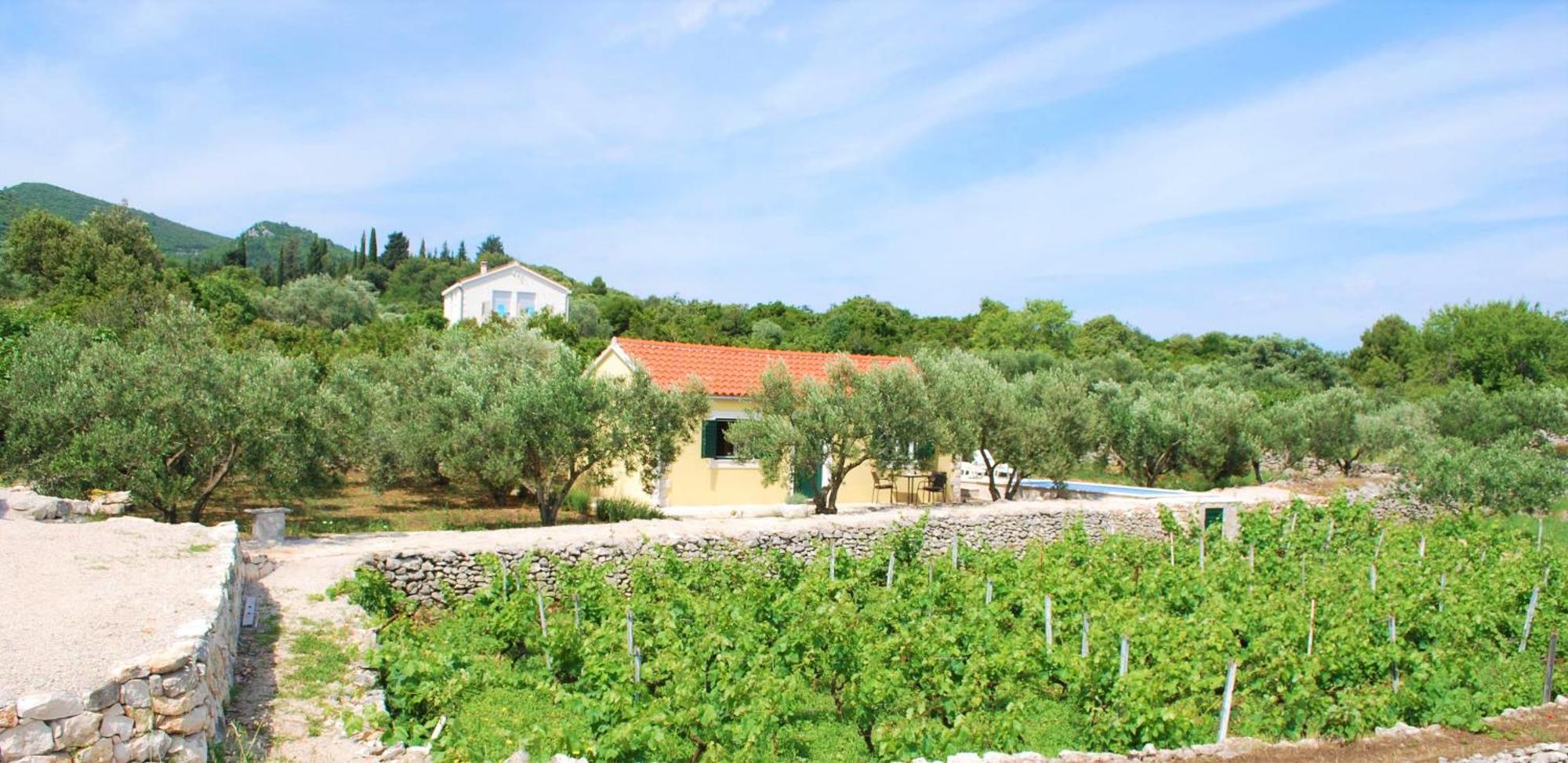 RačišćeVineyard House & Olive Grove House别墅 外观 照片