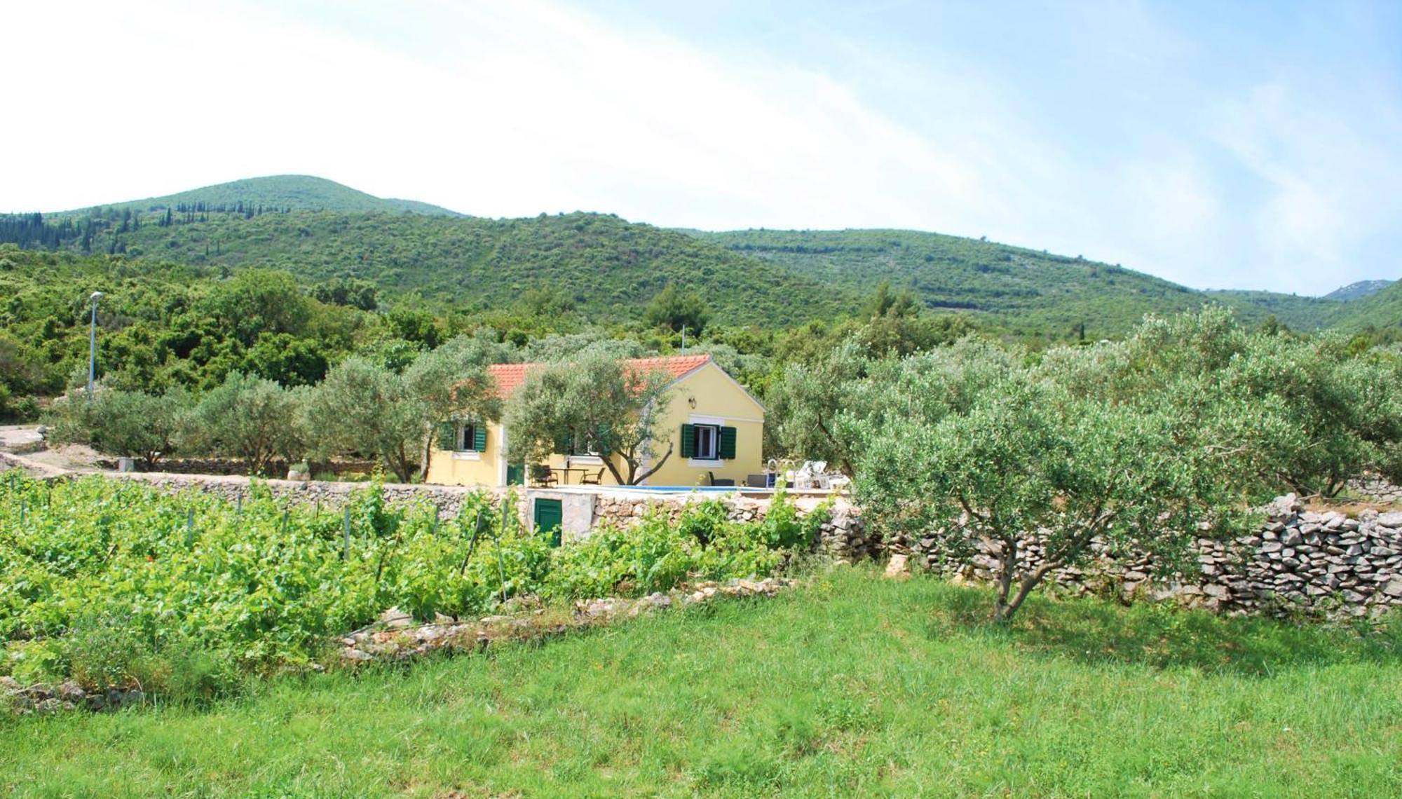 RačišćeVineyard House & Olive Grove House别墅 外观 照片