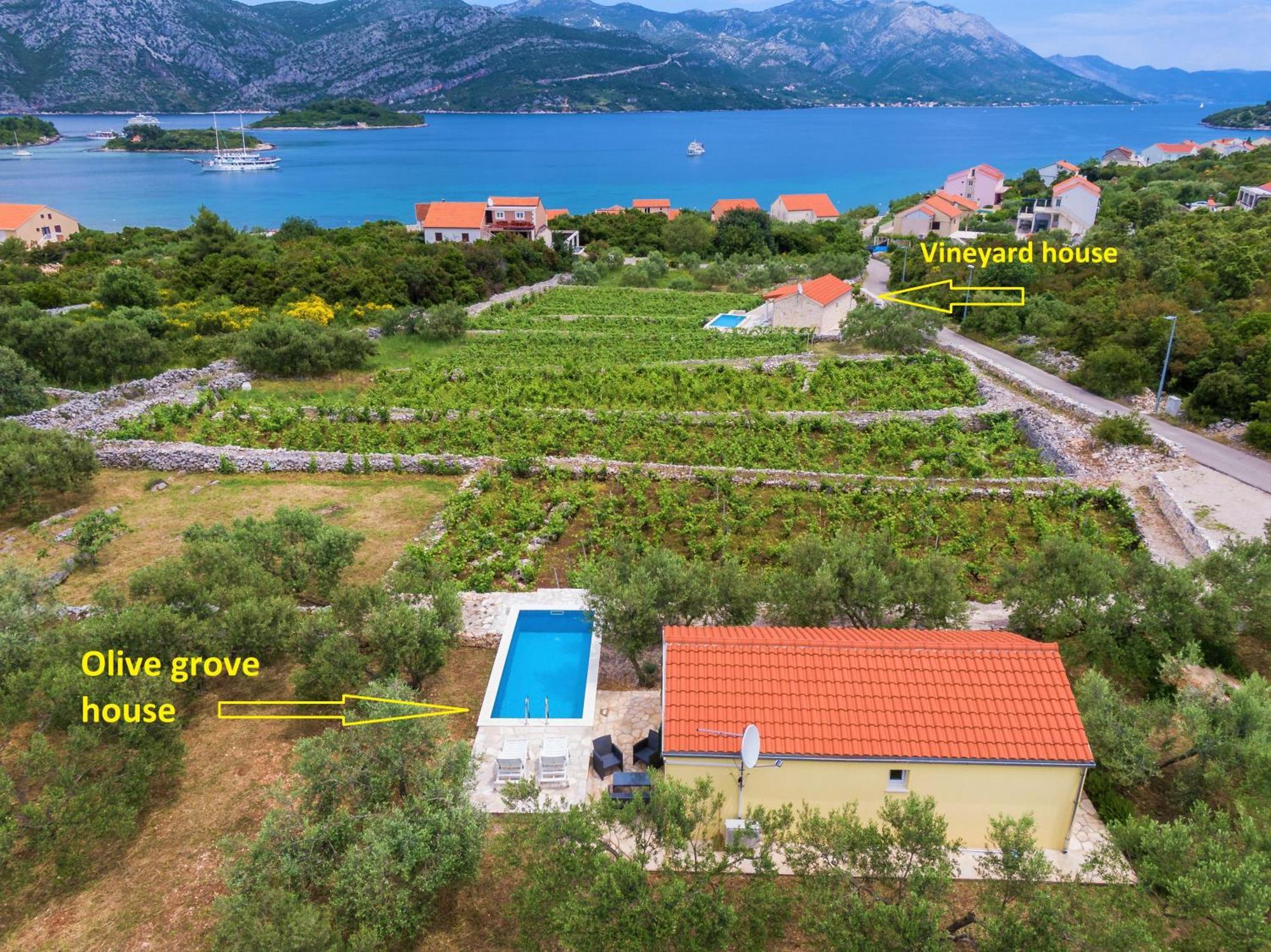 RačišćeVineyard House & Olive Grove House别墅 外观 照片