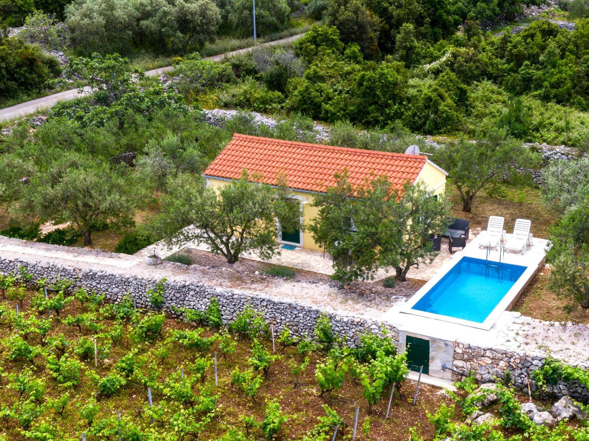 RačišćeVineyard House & Olive Grove House别墅 外观 照片