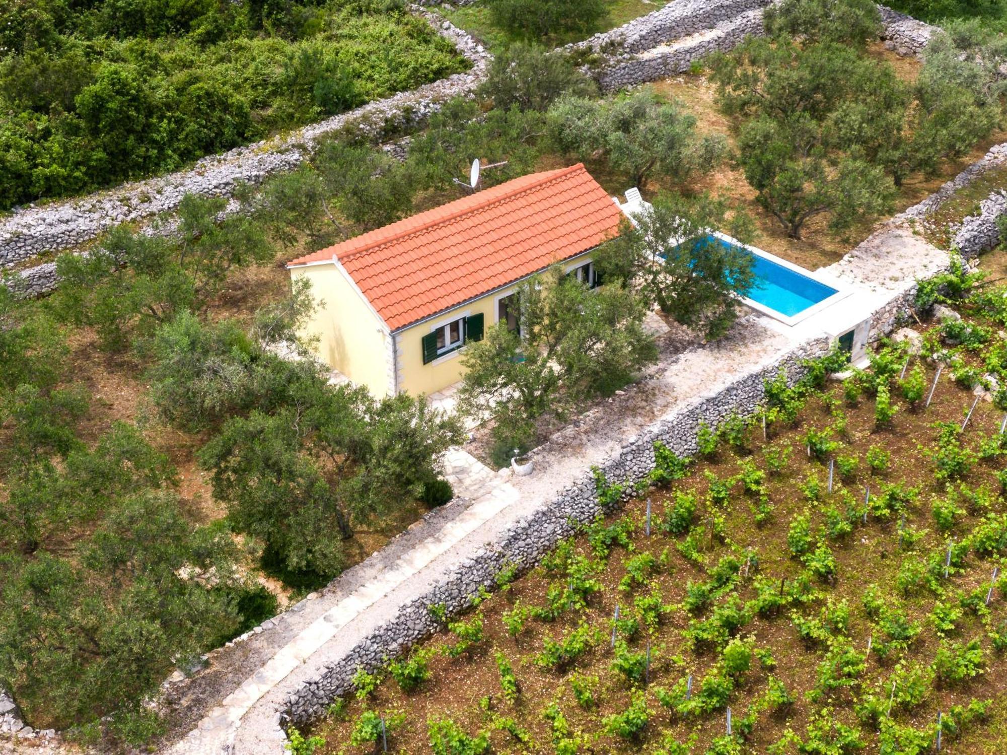 RačišćeVineyard House & Olive Grove House别墅 外观 照片