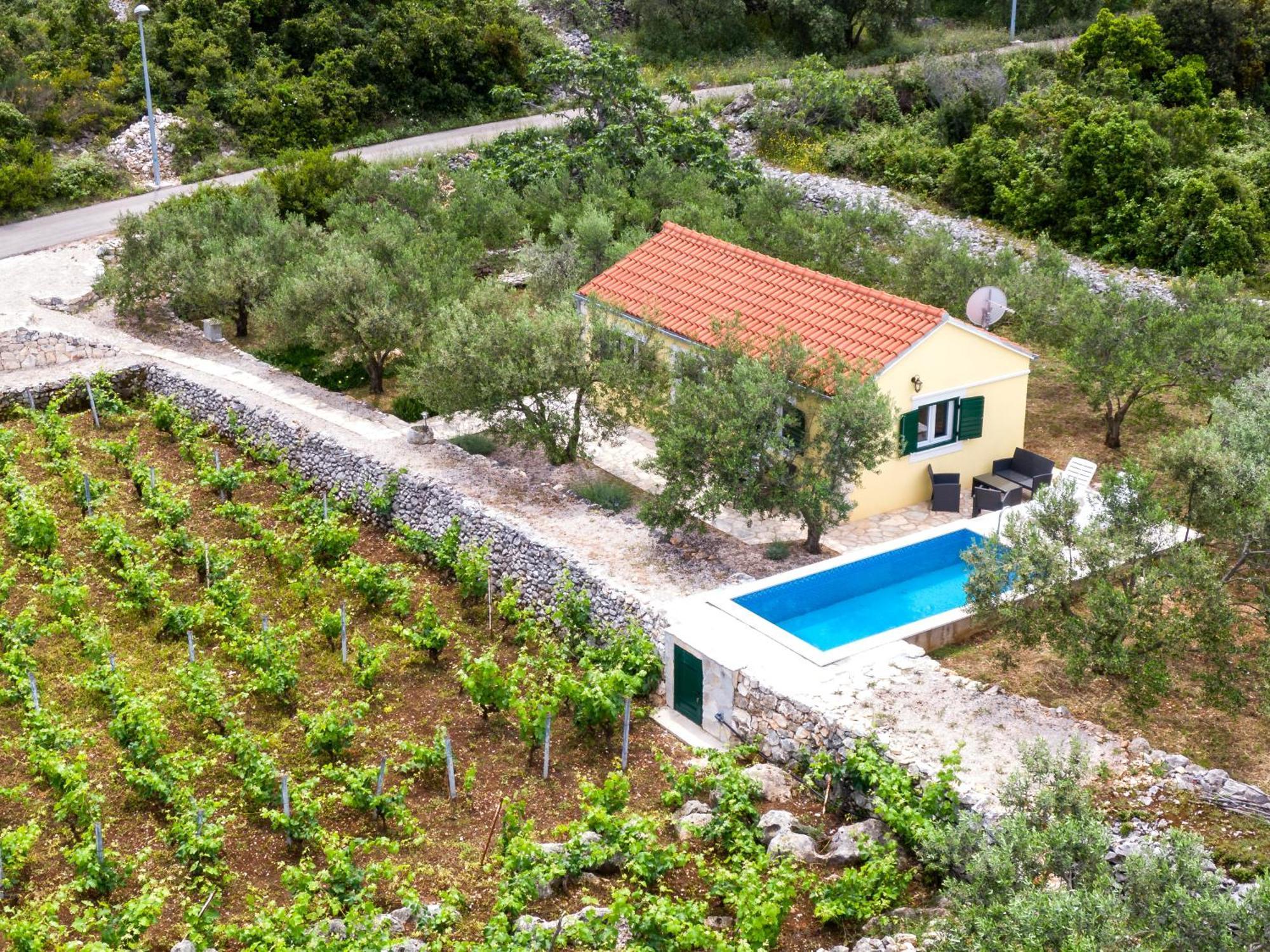RačišćeVineyard House & Olive Grove House别墅 外观 照片