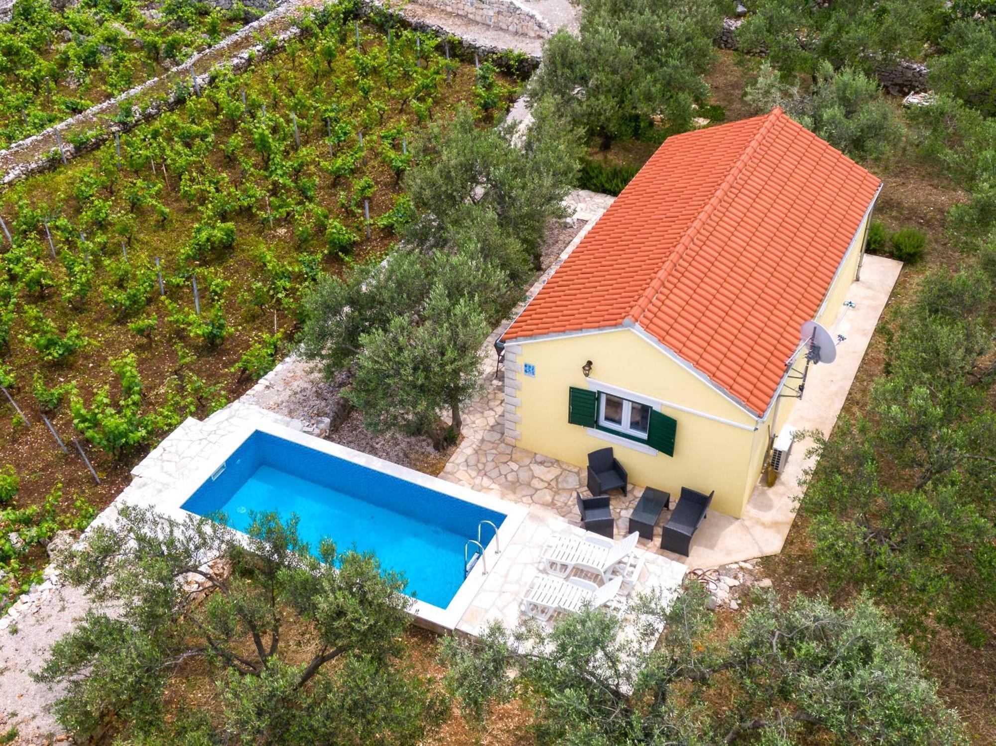 RačišćeVineyard House & Olive Grove House别墅 外观 照片