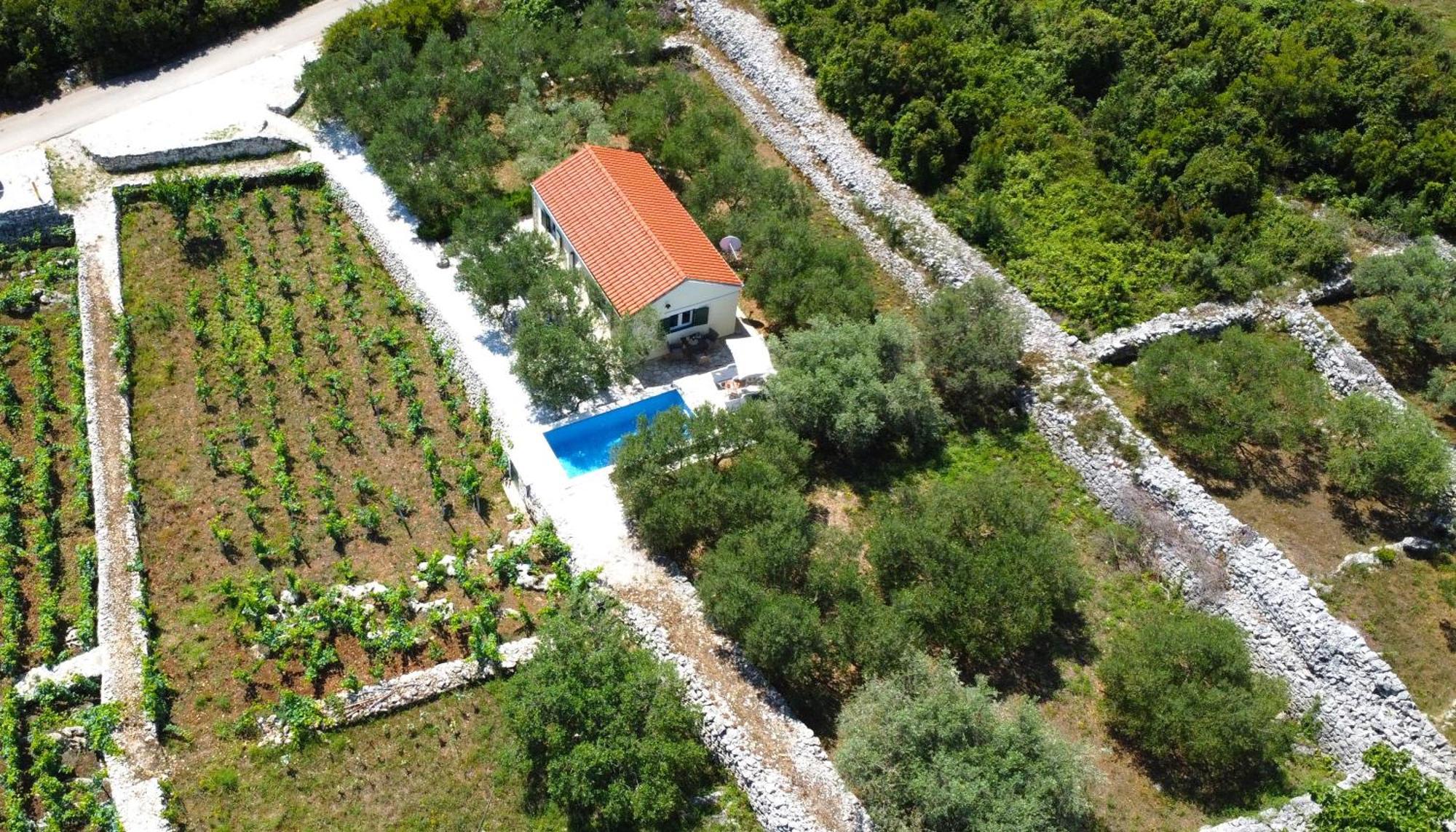 RačišćeVineyard House & Olive Grove House别墅 外观 照片