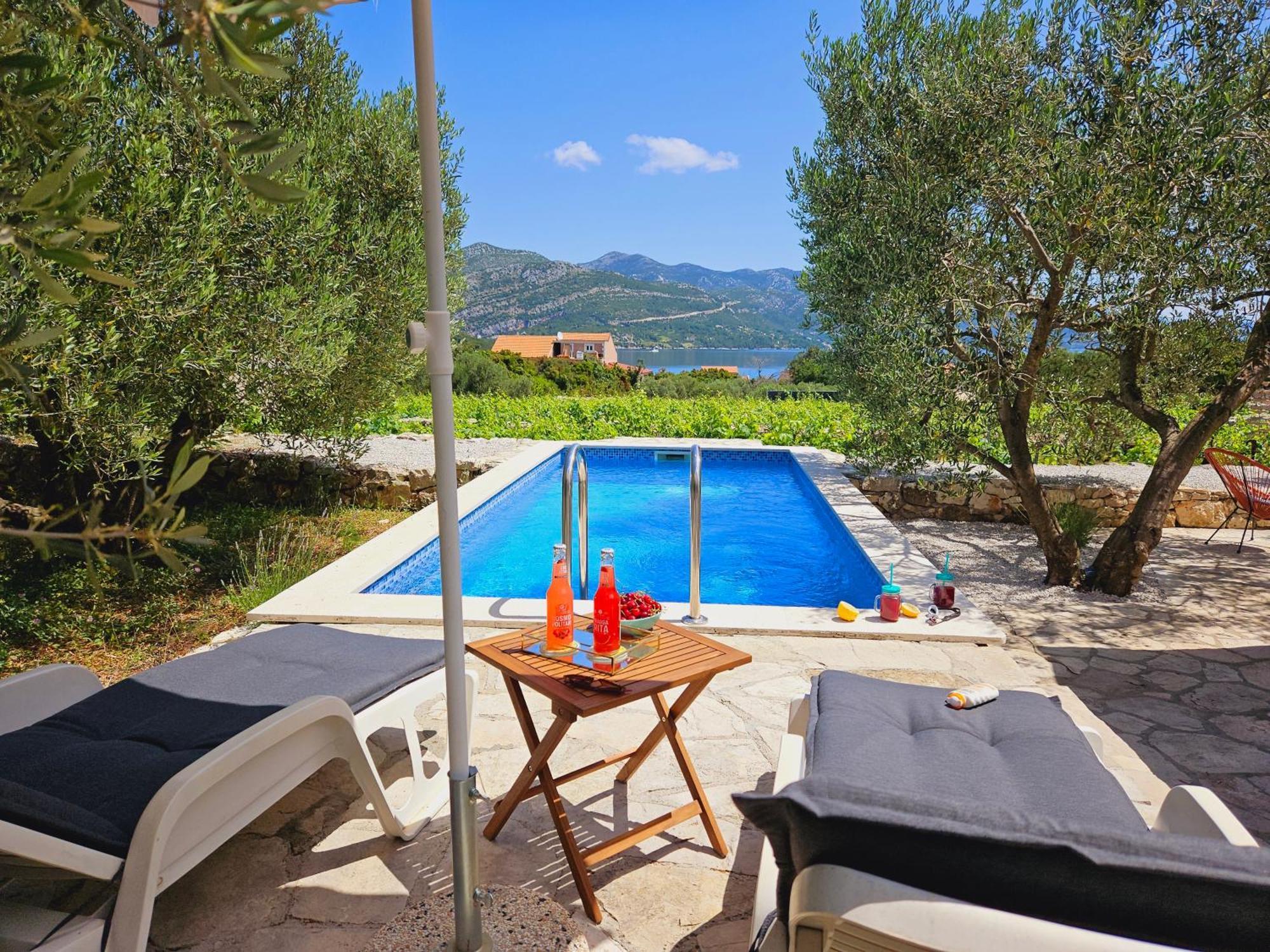 RačišćeVineyard House & Olive Grove House别墅 外观 照片
