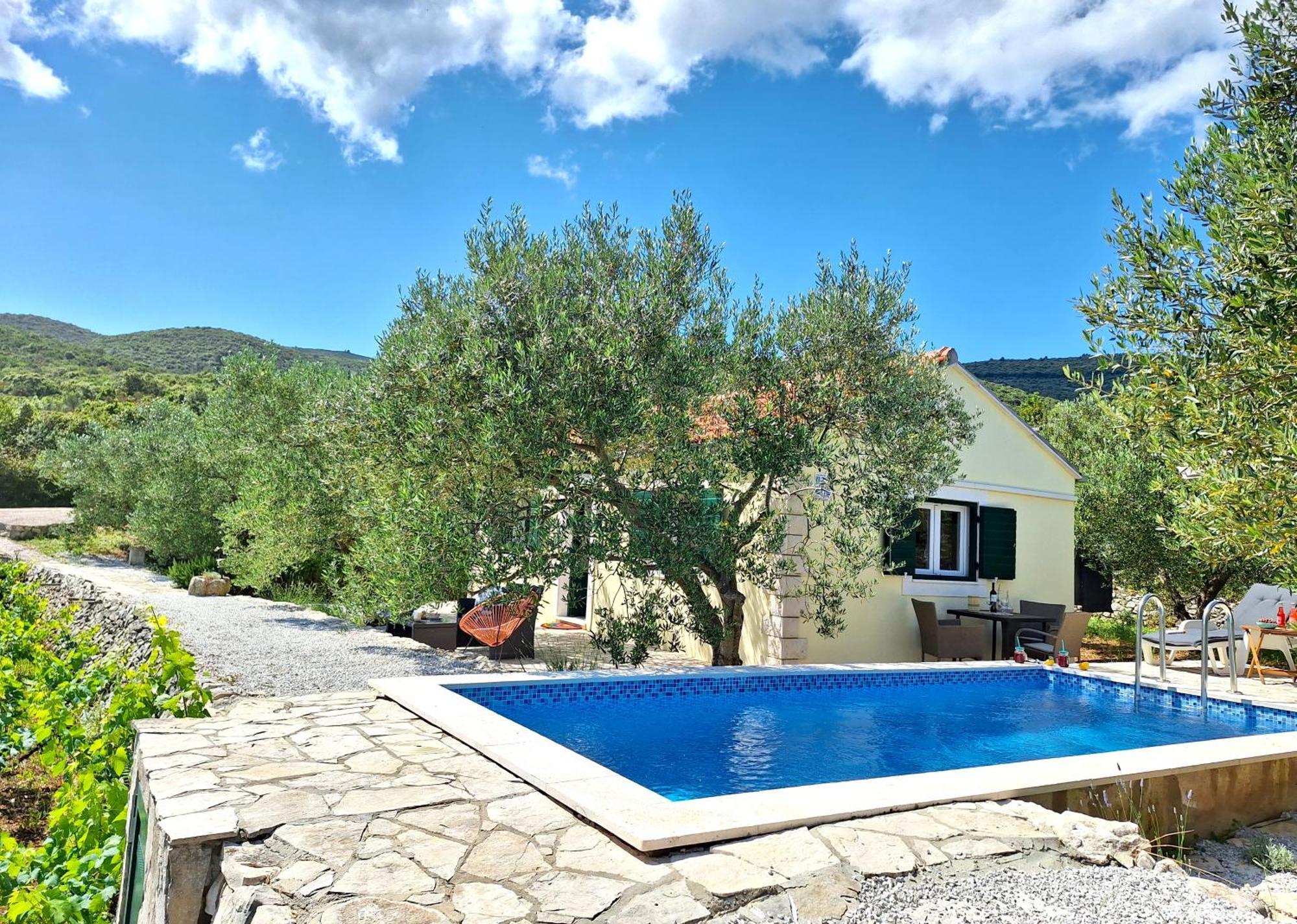 RačišćeVineyard House & Olive Grove House别墅 外观 照片