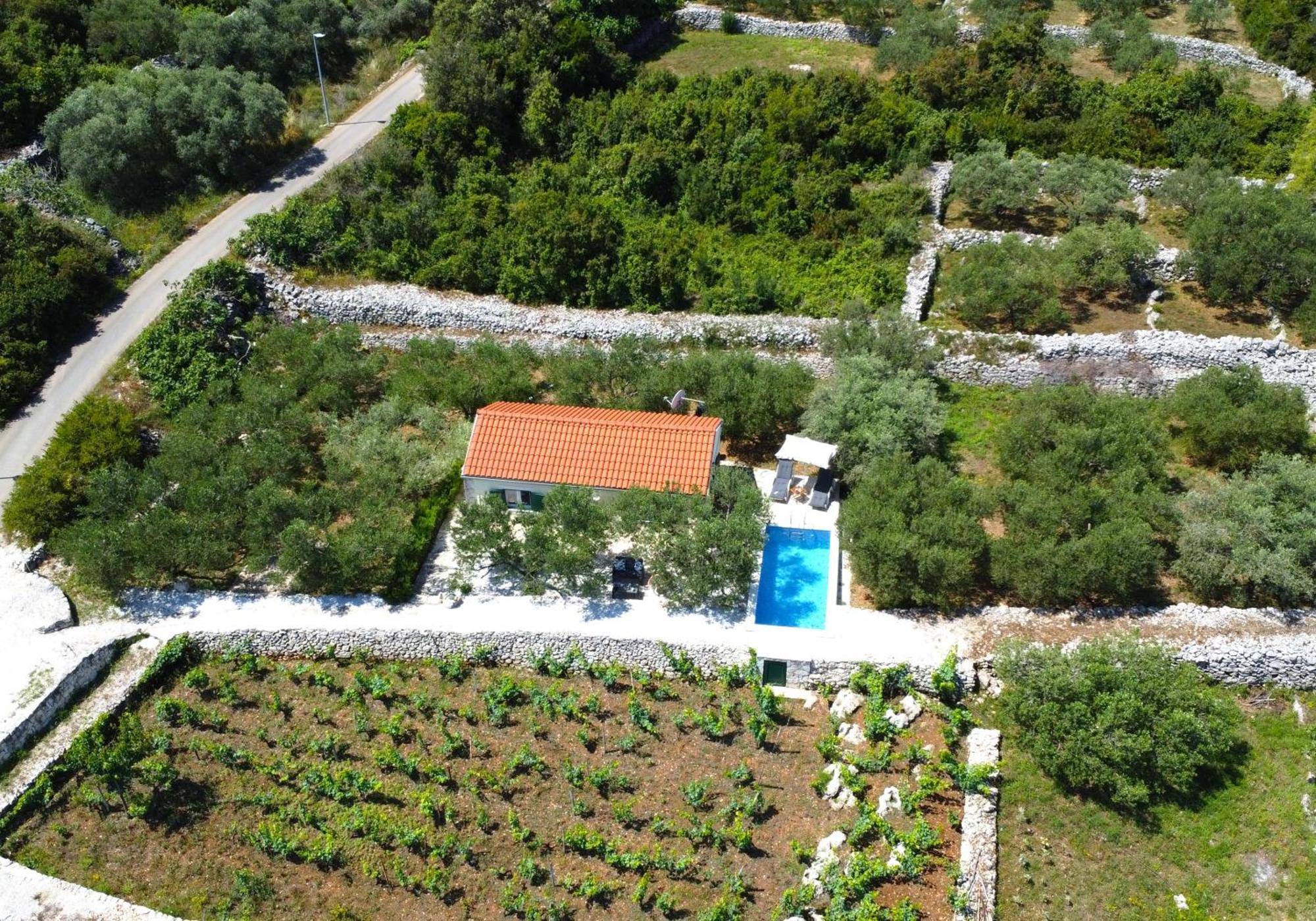 RačišćeVineyard House & Olive Grove House别墅 外观 照片