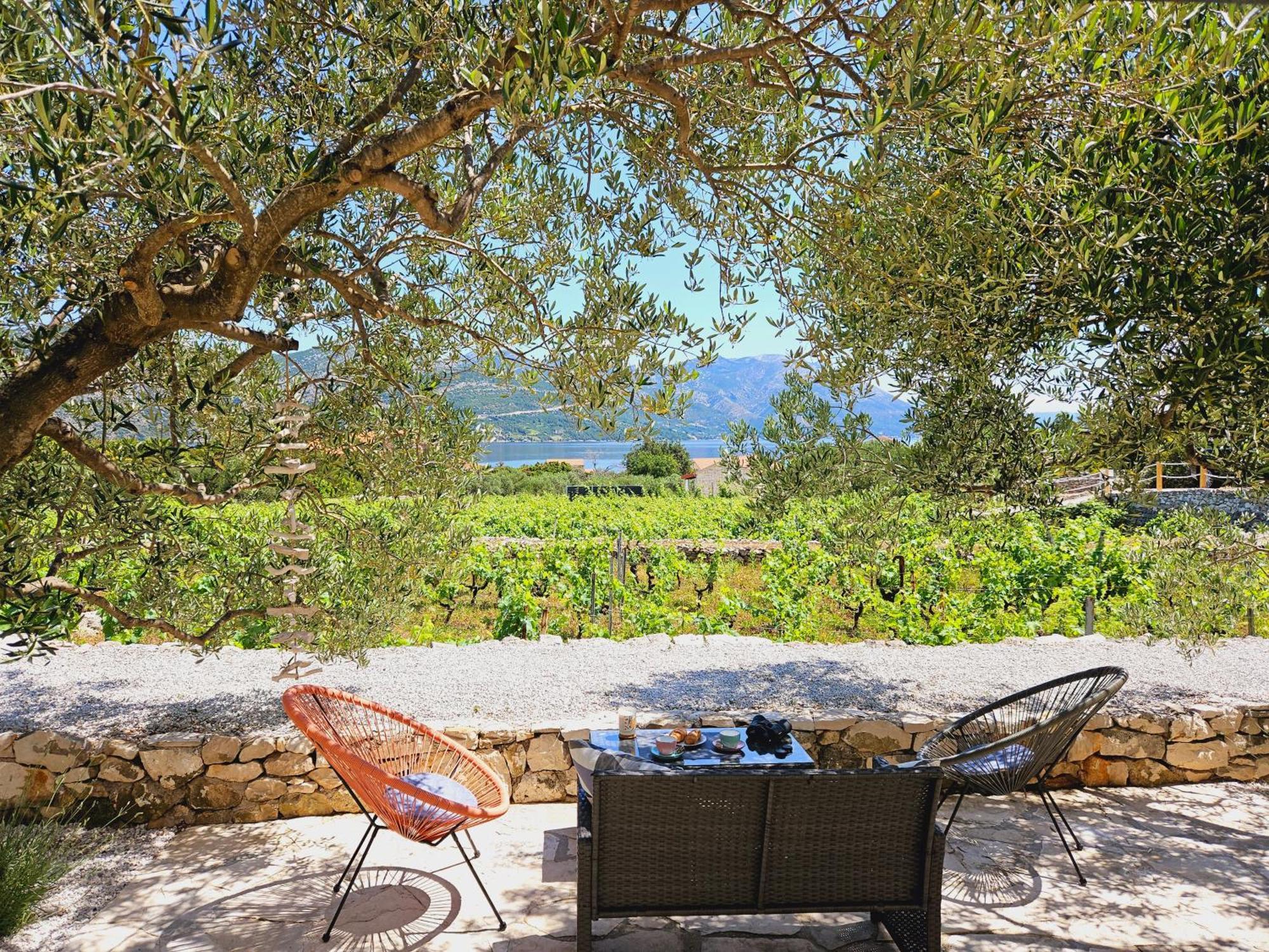 RačišćeVineyard House & Olive Grove House别墅 外观 照片