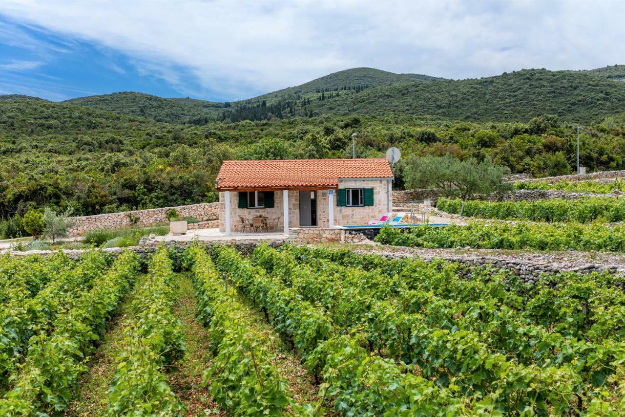 RačišćeVineyard House & Olive Grove House别墅 外观 照片