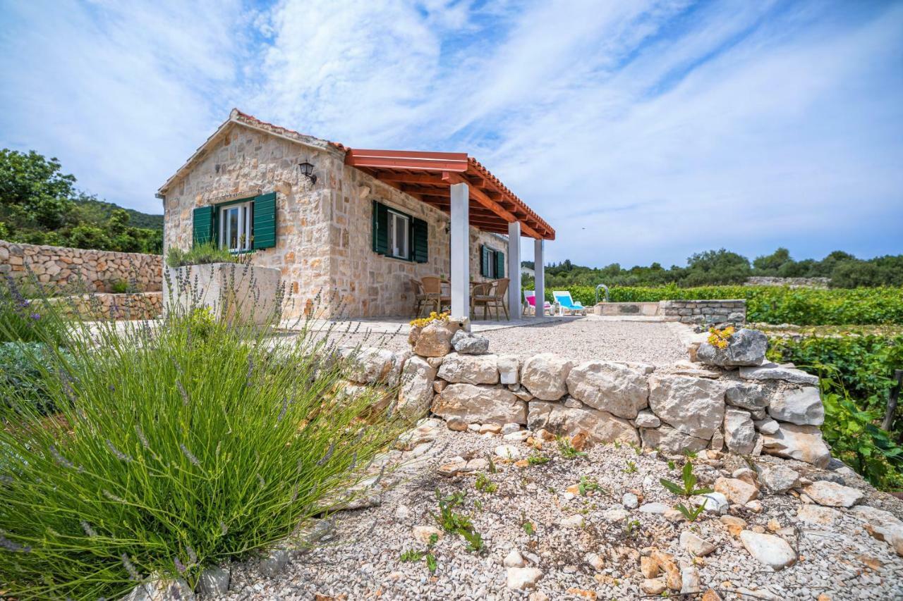 RačišćeVineyard House & Olive Grove House别墅 外观 照片