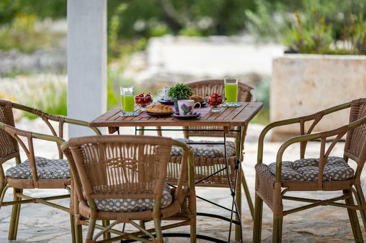 RačišćeVineyard House & Olive Grove House别墅 外观 照片