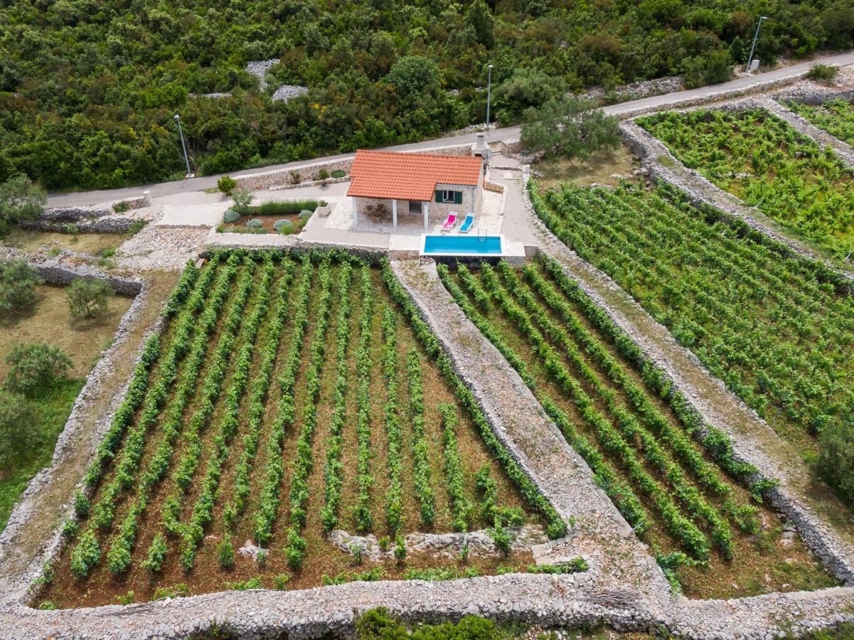RačišćeVineyard House & Olive Grove House别墅 外观 照片