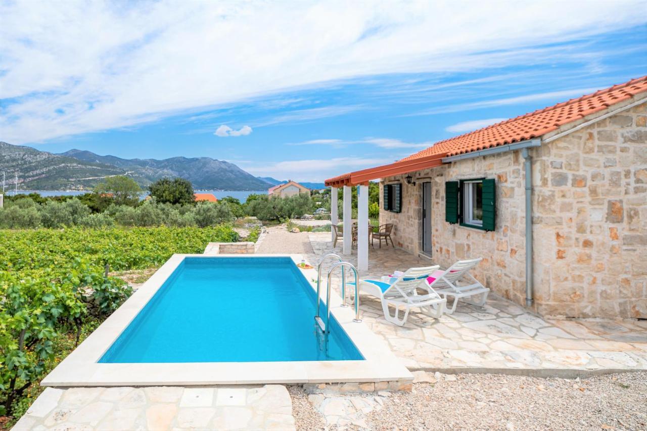 RačišćeVineyard House & Olive Grove House别墅 外观 照片