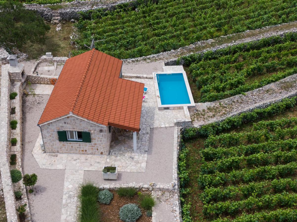 RačišćeVineyard House & Olive Grove House别墅 外观 照片