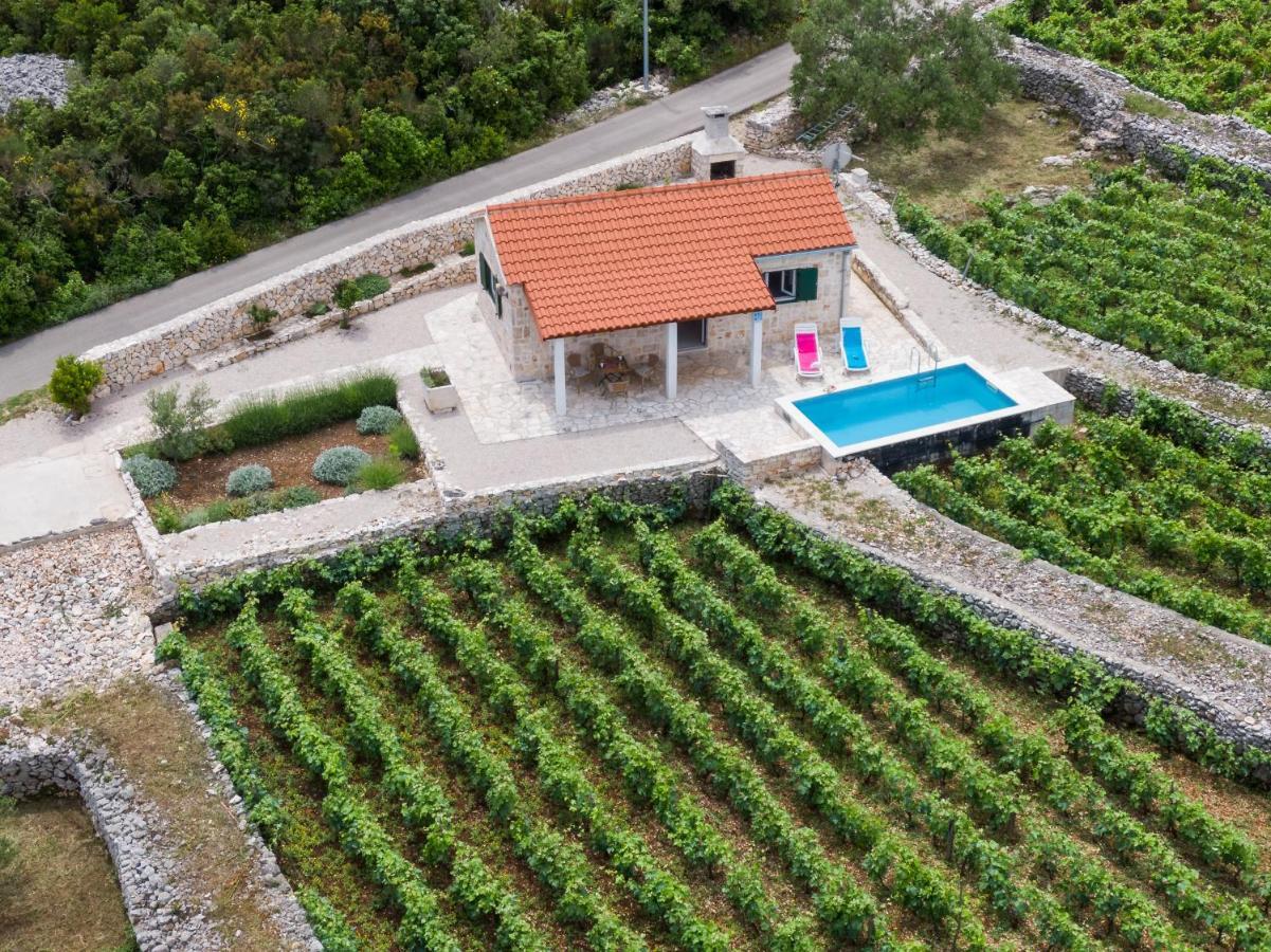 RačišćeVineyard House & Olive Grove House别墅 外观 照片
