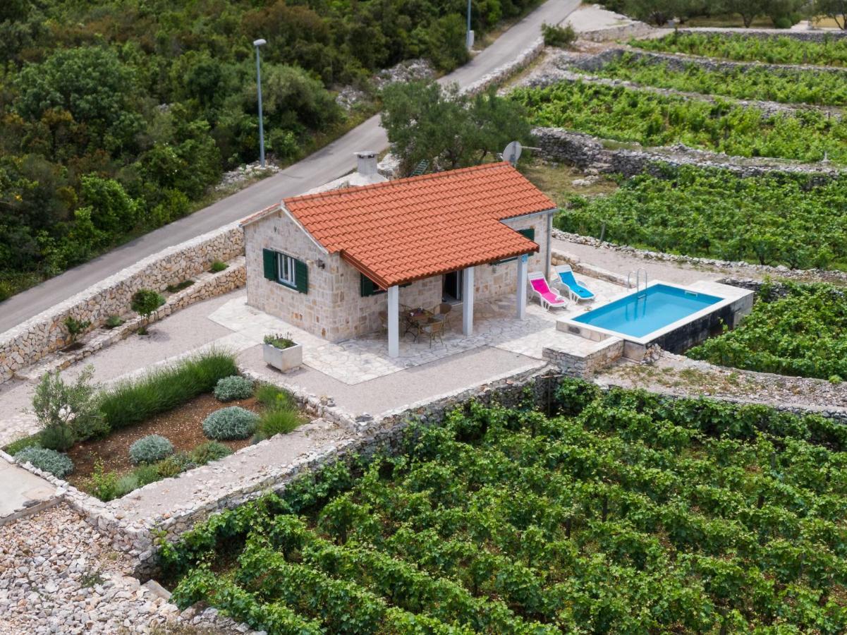 RačišćeVineyard House & Olive Grove House别墅 外观 照片